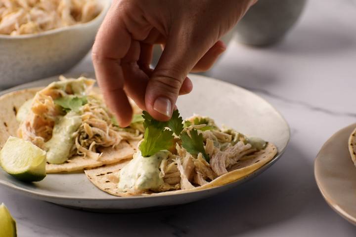Slow Cooker Jalapeno Chicken Tacos Cilantro being served on jalapeno chicken tacos.