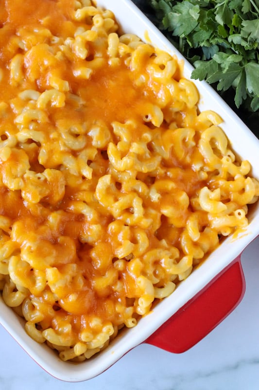 melted cheesy macaroni and cheese