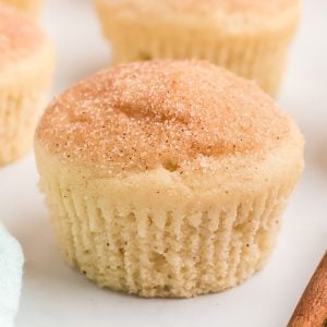 closeup of a cinnamon sugar topped french breakfast muffin.