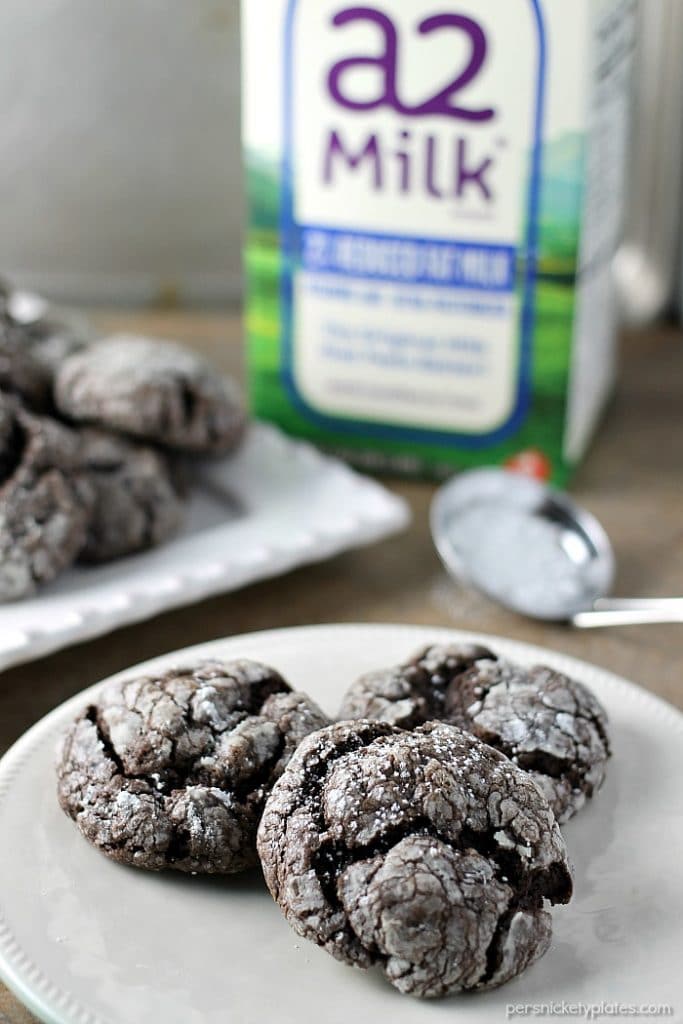 Chocolate Gooey Butter Cookies are light and pillowy and melt in your mouth! At only six ingredients, they just might be your new favorite cookie! | www.persnicketyplates.com #dessert #cookies #cakemixcookies #chocolate #baking #easyrecipe #semihomemade #christmascookies plate of ooey gooey butter cookies with milk in background