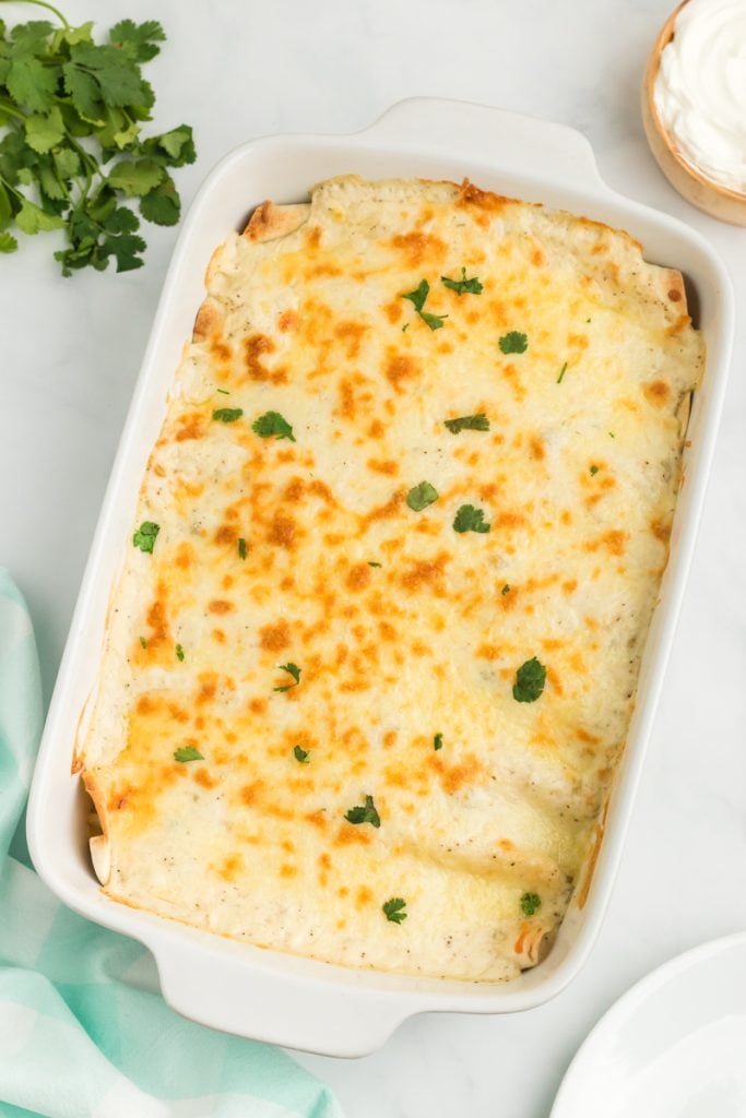 overhead shot of sour cream chicken enchiladas in a baking dish topped with cilantro.