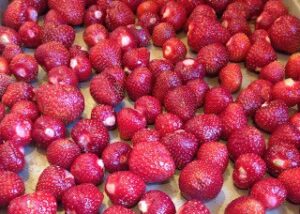 strawberries on cookie sheet