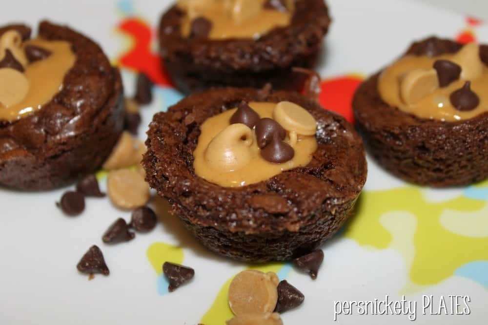 Peanut Butter Brownie Bites are a delicious mini treat, perfect for get togethers or any holiday season. These chewy brownies are filled with a creamy peanut butter sauce that is heaven in a tiny bite! | www.persnicketyplates.com #brownies #browniebites #peanutbutter #easydessert #semihomemade #dessert peanut butter brownie bites sprinkled with chocolate chips