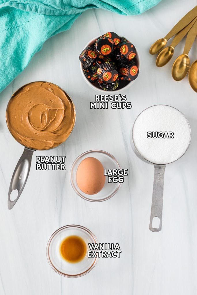 overhead shot of ingredients labeled to make peanut butter cookies.