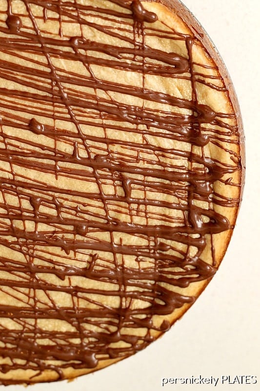 Brownie Bottom Peanut Butter Cheesecake has a layer of chewy brownie topped with a creamy peanut butter cheesecake and drizzled with rich chocolate. | www.persnicketyplates.com #cheesecake #peanutbutter #brownie #dessert