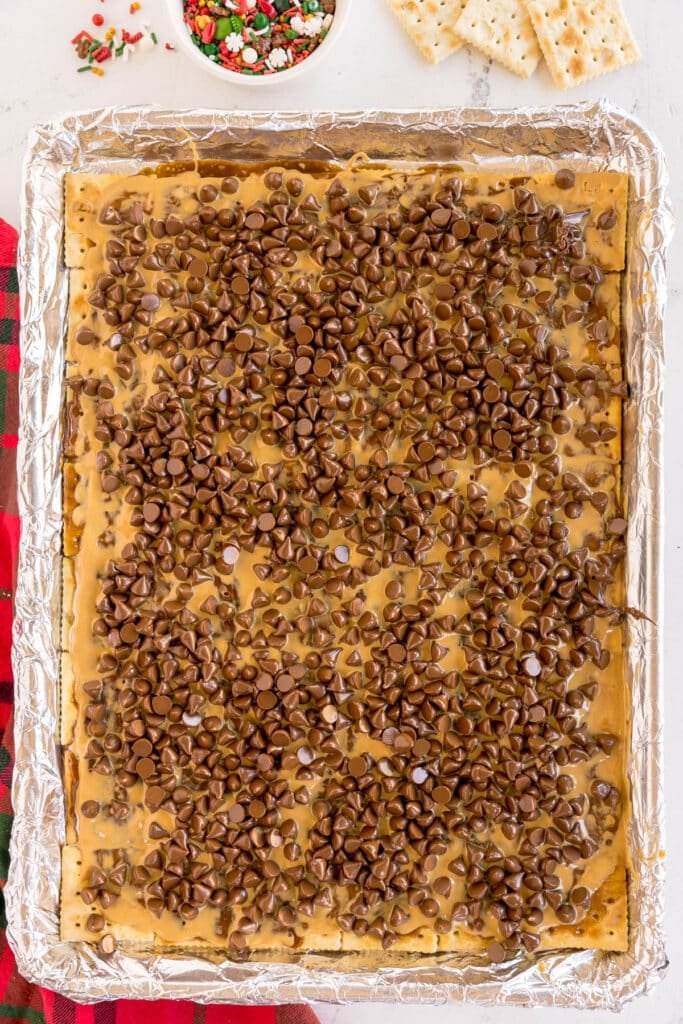 A baking pan filled with crackers covered in peanut butter and topped with chocolate chips.
