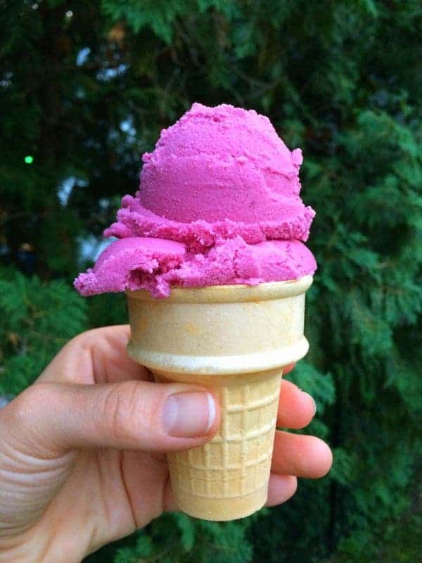 Berry Ginger Frozen Yogurt - The Lemon Bowl