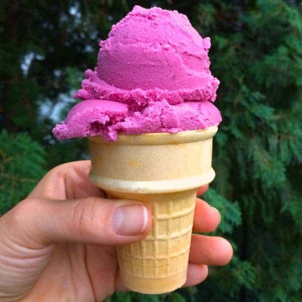 Berry Ginger Frozen Yogurt