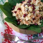 Pomegranate Chicken Salad - Plaid and Paleo