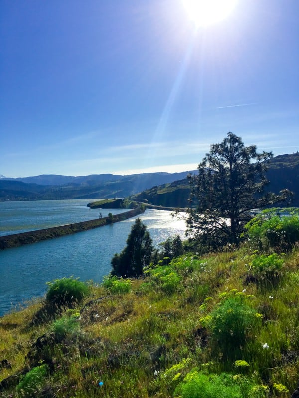 Oneonta Gorge Hike and a visit to Hood River