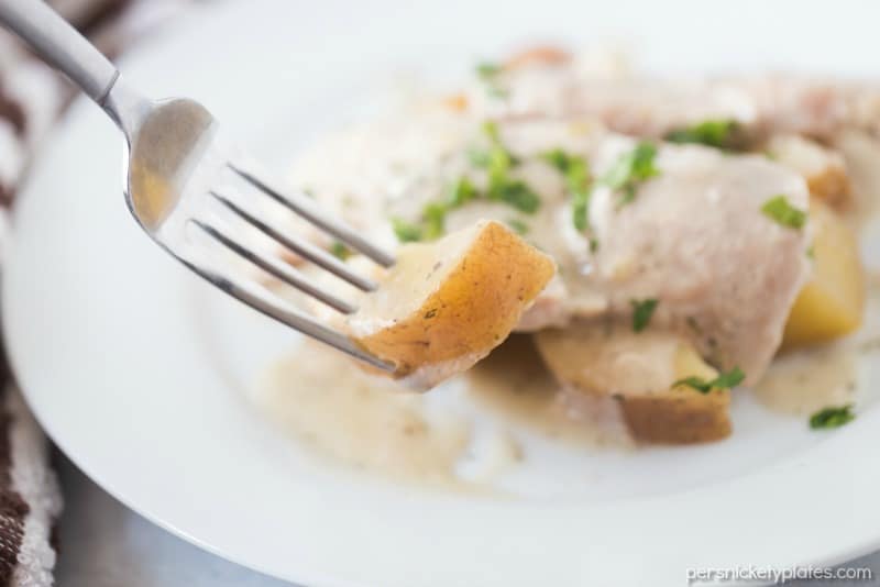 Slow Cooker Creamy Ranch Pork Chops & Potatoes – six ingredients and a full meal right in your slow cooker! | www.persnicketyplates.com #slowcooker #crockpot #dinner #easyrecipe #comfortfood #porkchops bite of red skin potato on a fork