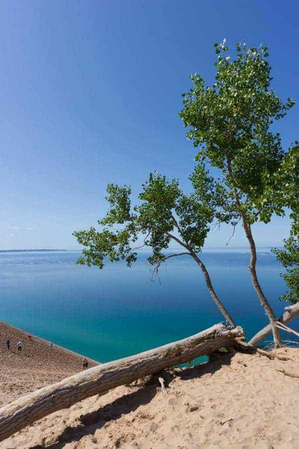 Kid-Friendly Travel Guide to Traverse City