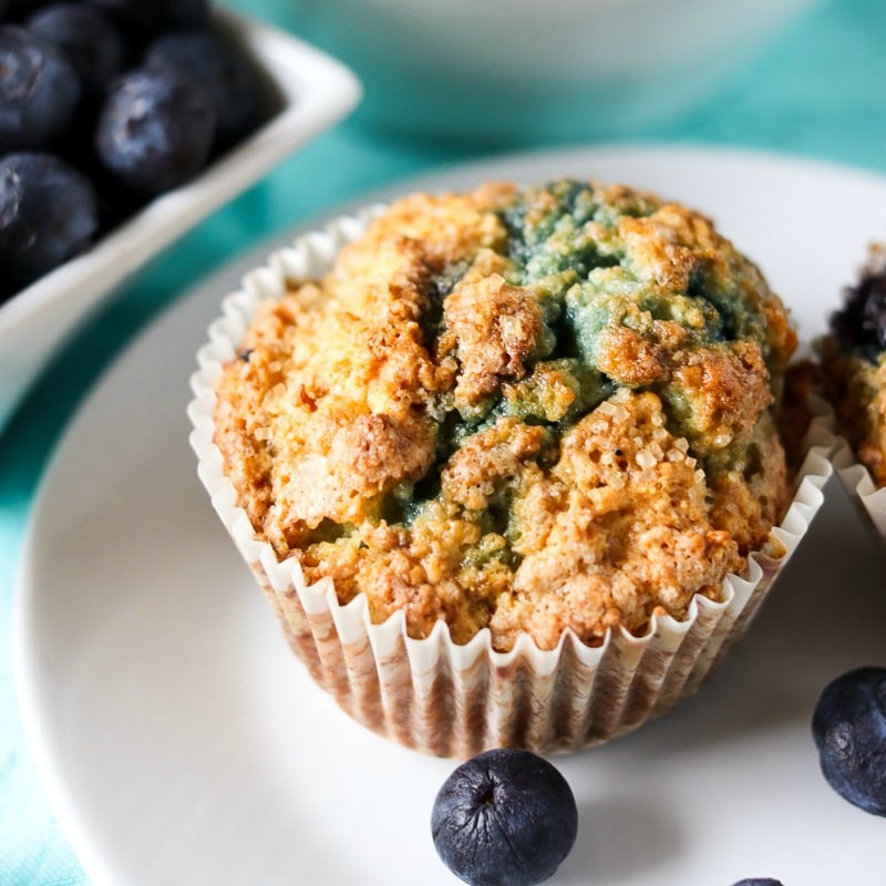 blueberry muffin on white plate surrounded by fresh blueberries