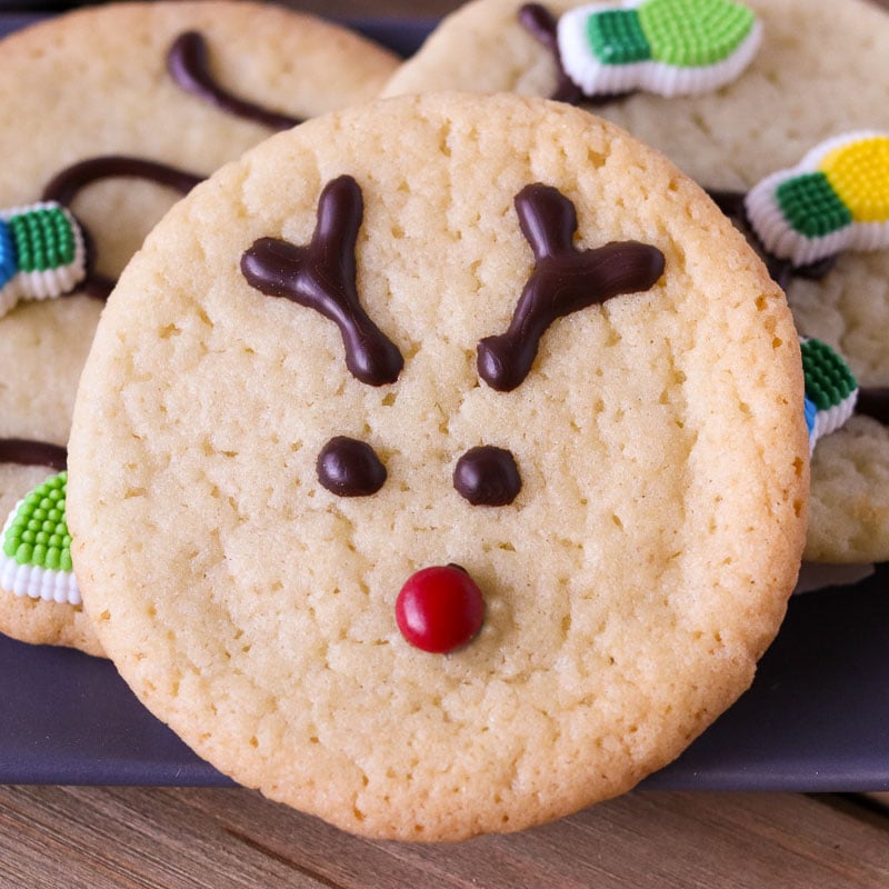 close up of reindeer cookie