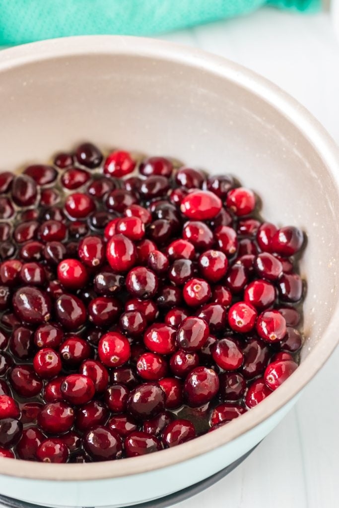 pot of fresh cranberries