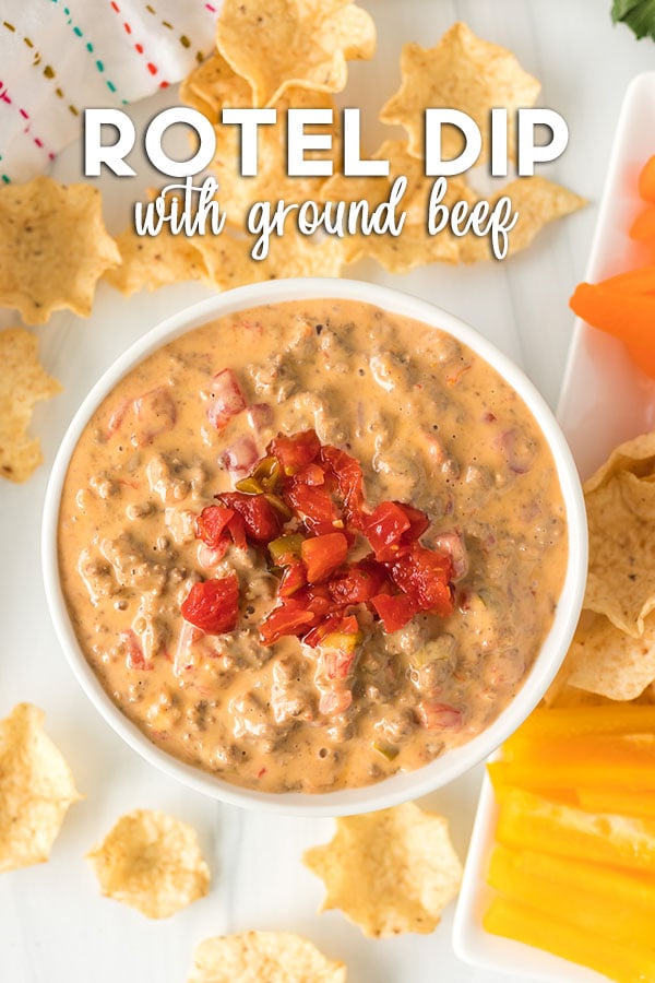 overhead shot of bowl of rotel dip topped with tomatoes & surrounded by chips