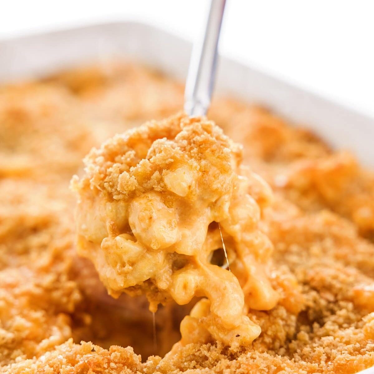 Baked Mac and Cheese with Pumpkin