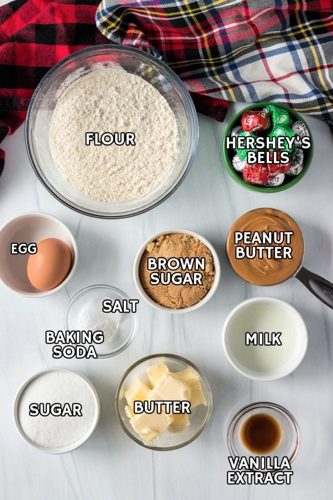 overhead shot of ingredients portioned out to make peanut butter cookies