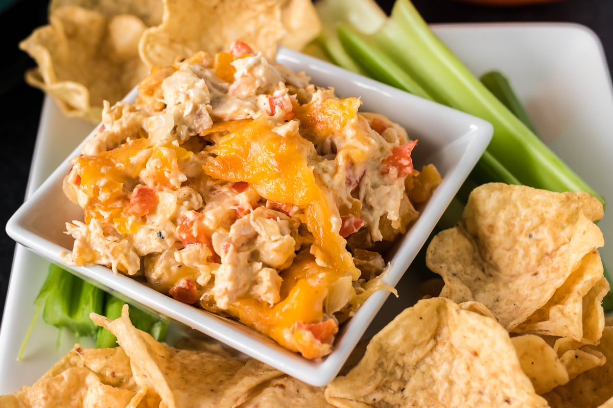 chicken fajita dip surrounded by tortilla chips and celery sticks