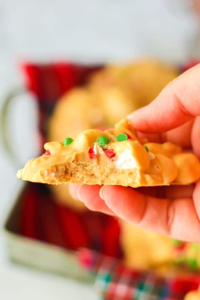 hand holding an avalanche cookie.