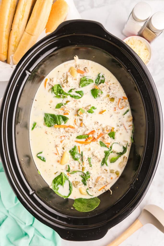 overhead shot of chicken gnocchi soup in a crockpot.