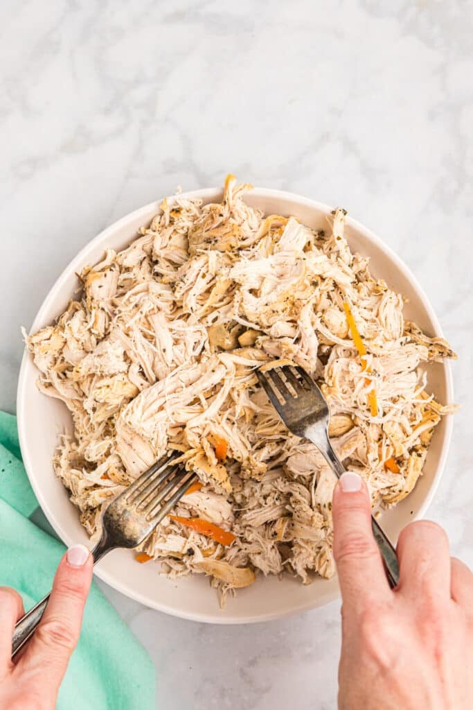 two forks shredding chicken breasts.