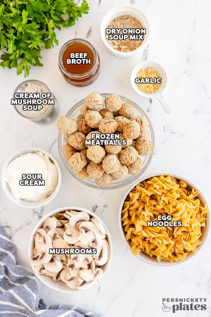 overhead shot of labeled ingredients laid out to make slow cooker meatball stroganoff.