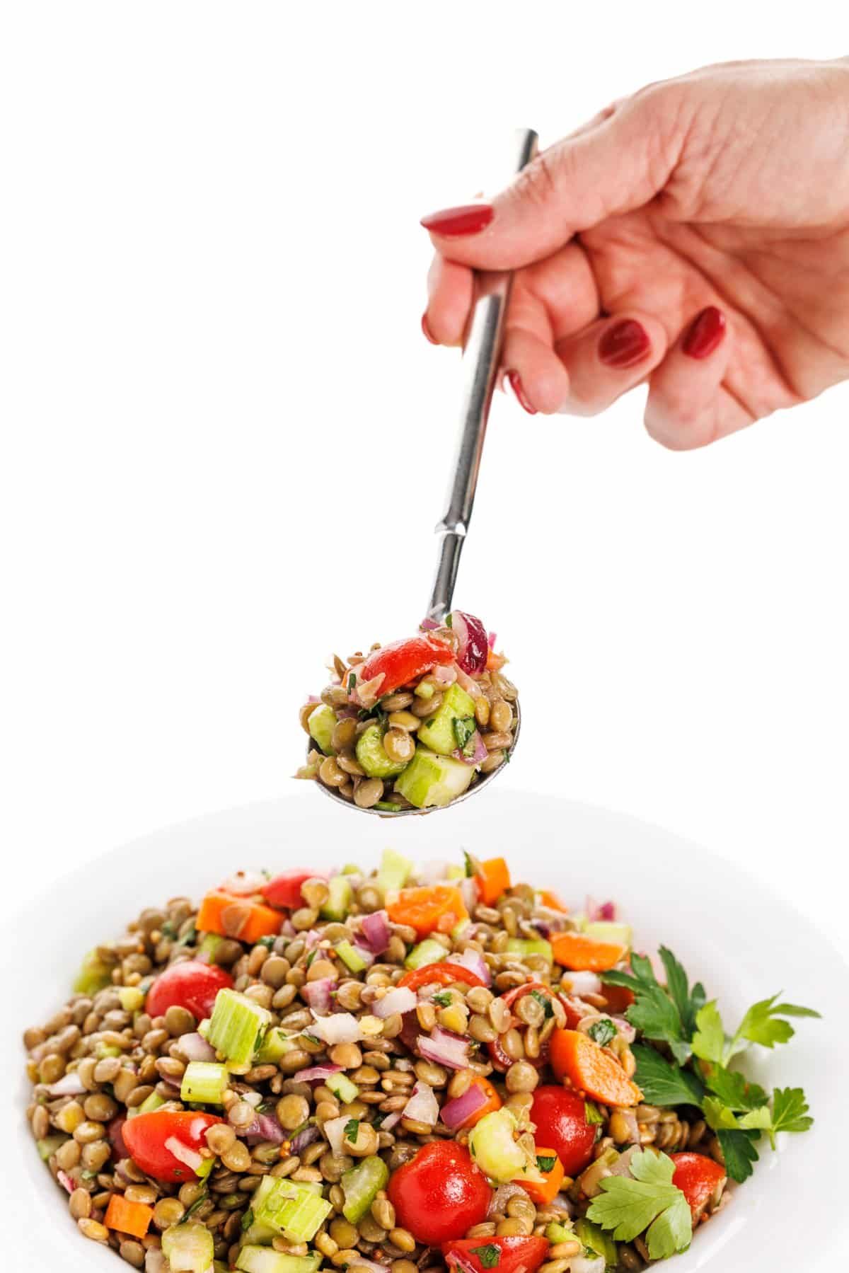 Spoonful of lentil salad with red wine vinaigrette.