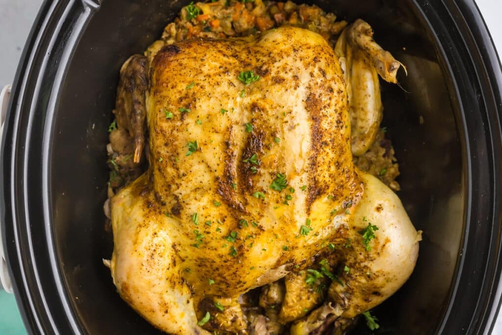 overhead shot of whole chicken in a crockpot.