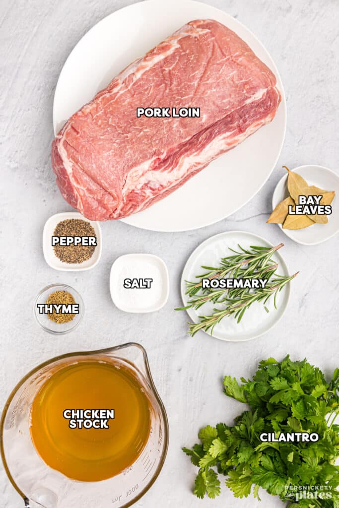overhead shot of labeled ingredients laid out to make chipotle carnitas in a slow cooker.