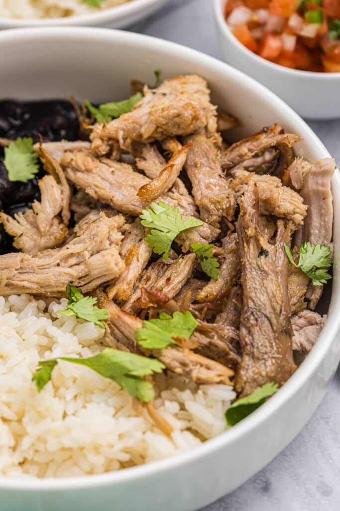 bowl of carnitas and cilantro lime rice.