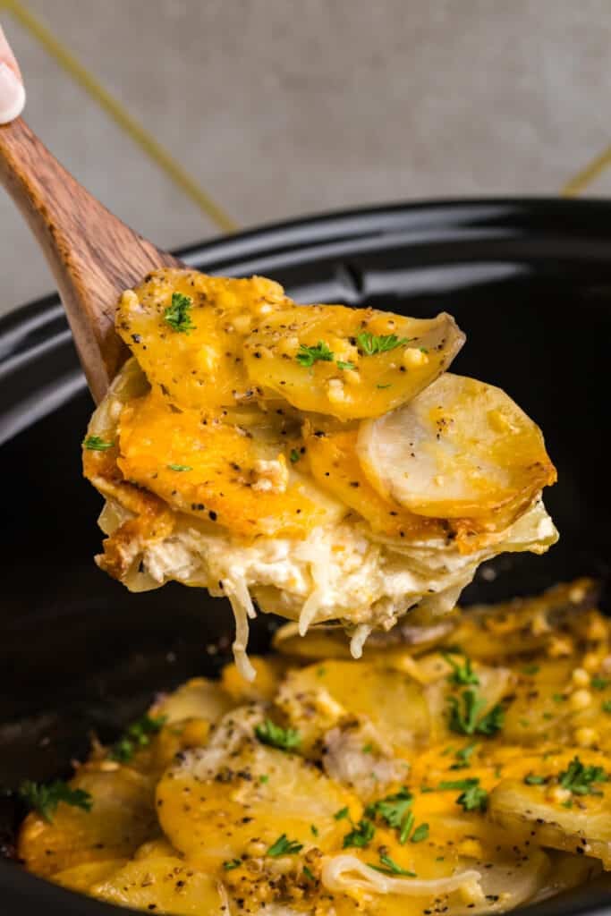 A crockpot containing creamy scalloped potatoes, with a wooden spoon resting in the dish, showcasing layers of potatoes and melted cheese sprinkled with fresh herbs.