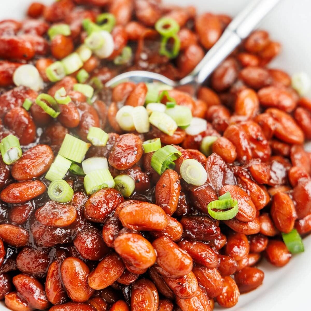 Slow Cooker Boston Baked Beans