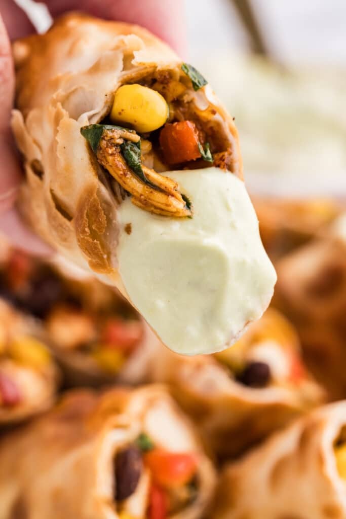 a hand holding a crispy Southwestern egg roll, filled with shredded chicken, corn, spinach, and diced red pepper.