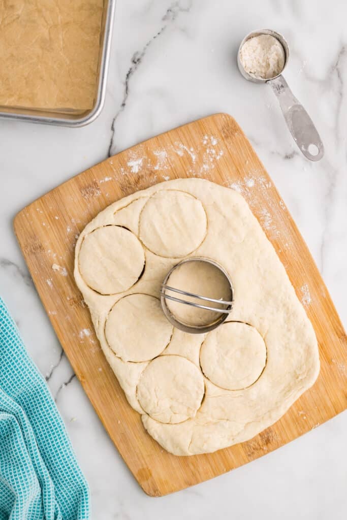 biscuit cutter cutting biscuits from dough.