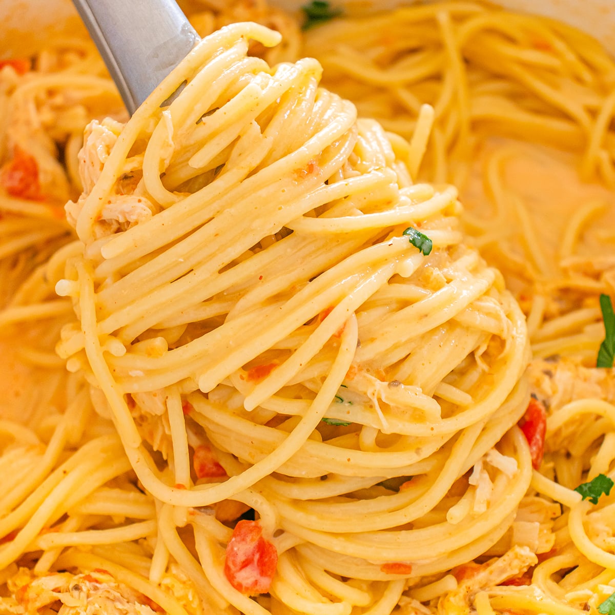 Fork twirling creamy chicken spaghetti noodles.